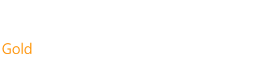 Microsoft Gold Partner